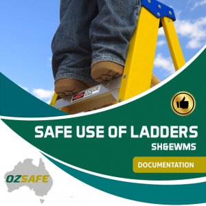 Safe Use of Ladders