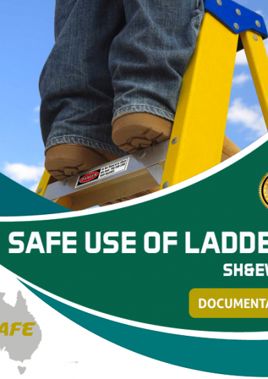 Safe Use of Ladders